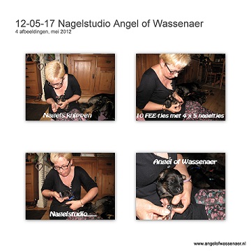 Nagelstudio Angel of Wassenaer
